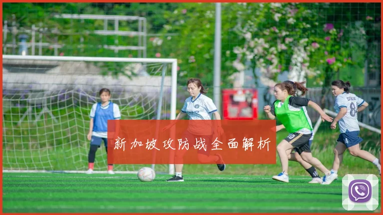 新加坡攻防战全面解析