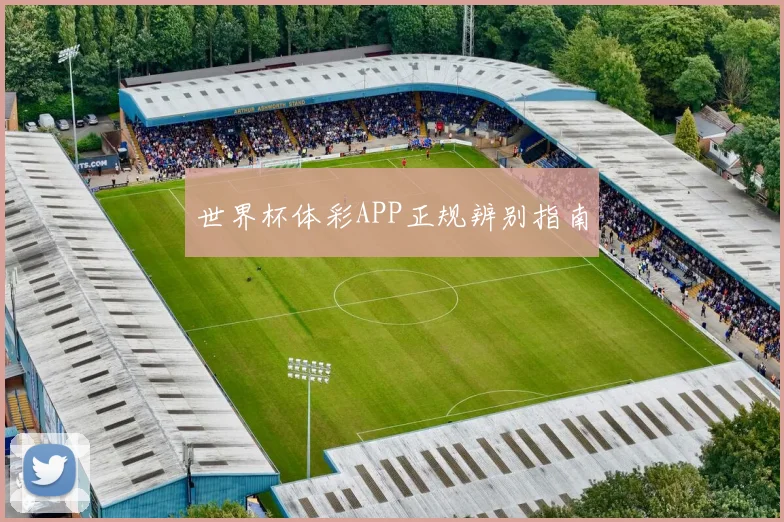 世界杯体彩APP正规辨别指南