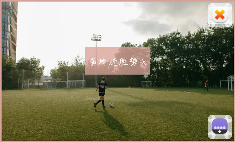 黄蜂连胜势头
