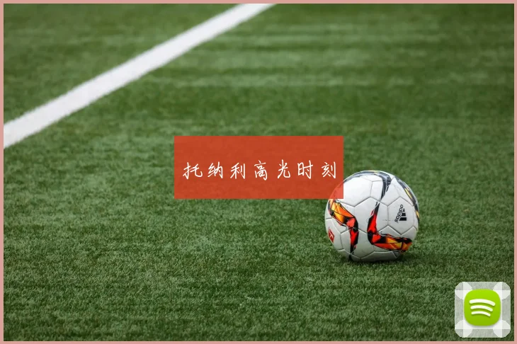托纳利高光时刻
