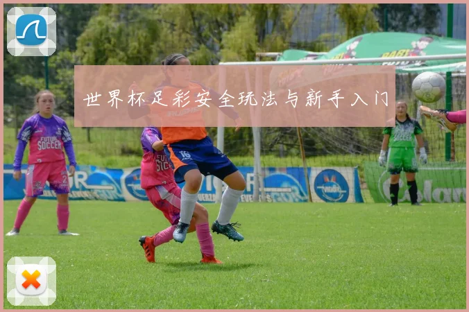 世界杯足彩安全玩法与新手入门