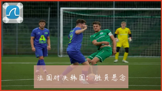 法国对决韩国:胜负悬念