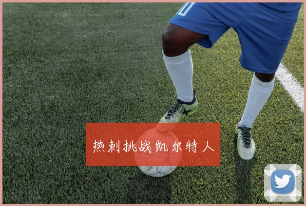 热刺挑战凯尔特人