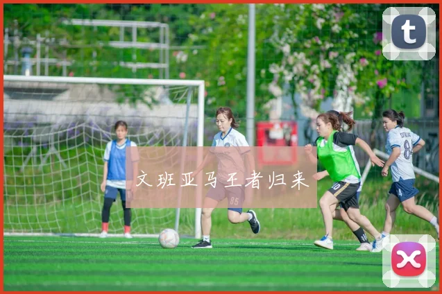文班亚马王者归来