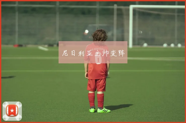 尼日利亚主帅变阵
