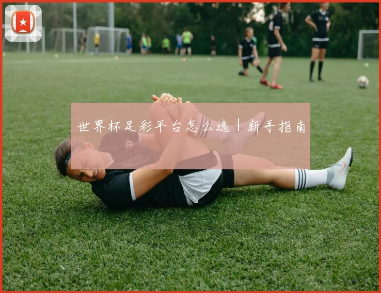 世界杯足彩平台怎么选|新手指南